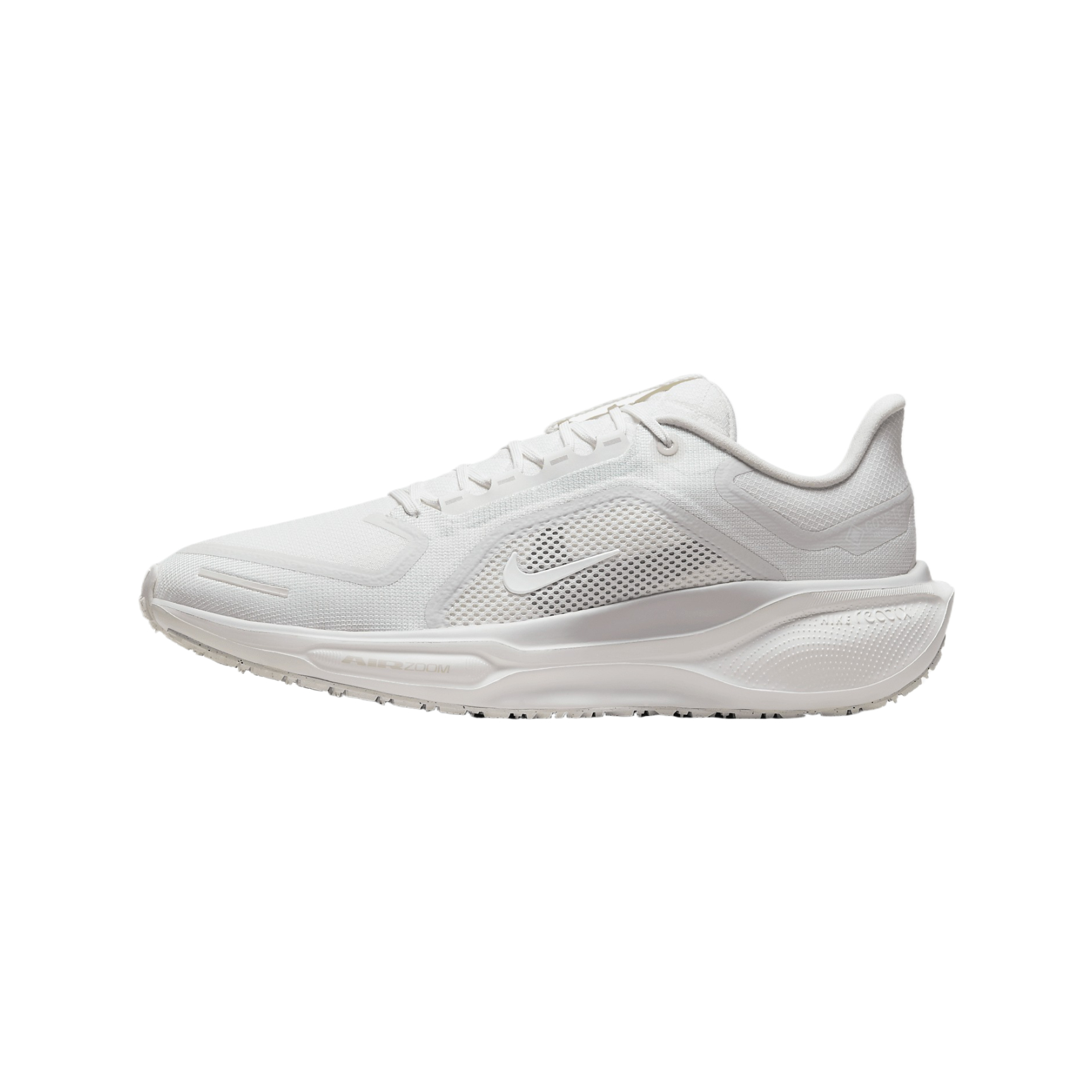 Nike Pegasus 41 GORE-TEX Men